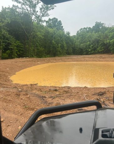 pond